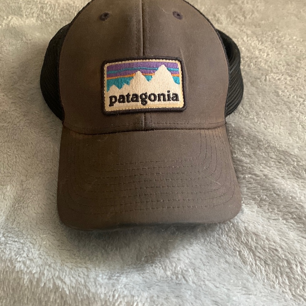 Patagonia trucker hat